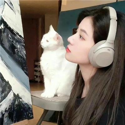 哈克费恩历险记